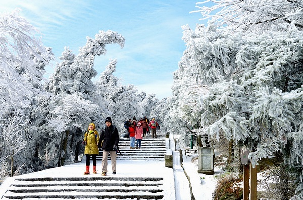 “南岳衡山雾凇美景直播，冬日仙境共赏时光”