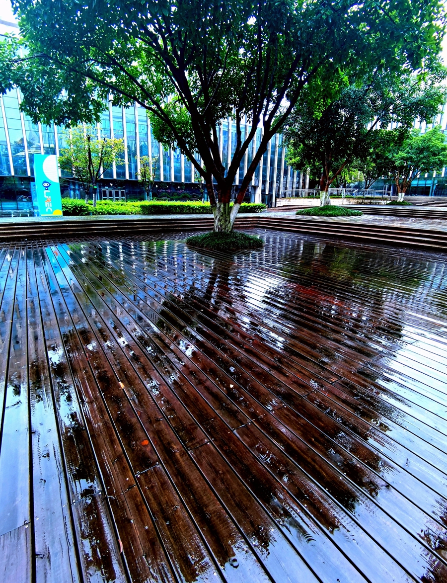 “喜雨降临，城市焕新——最新雨润大地盛景”