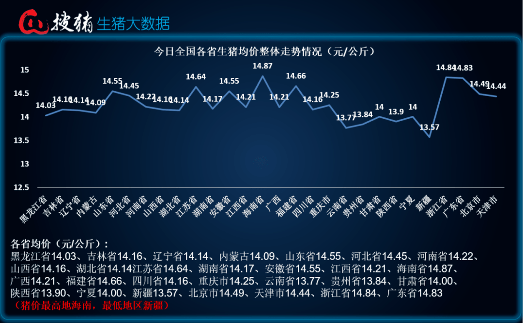 母猪市场最新行情一览